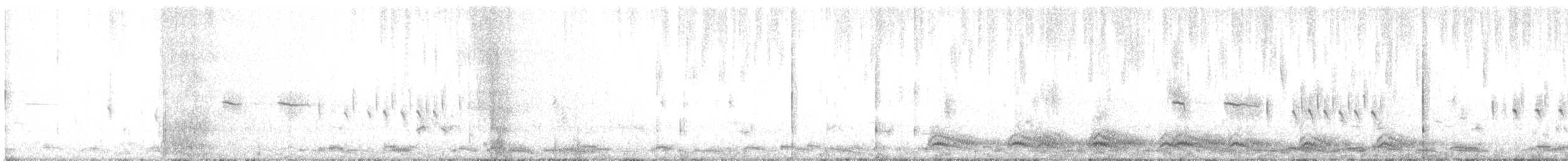 Cygne siffleur - ML616767953