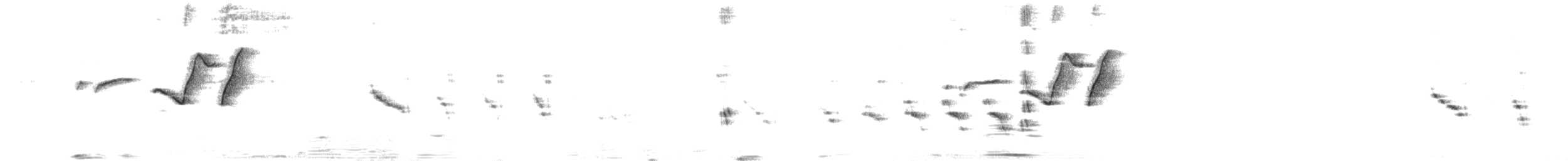 Zeledon Çıtkuşu - ML616771760