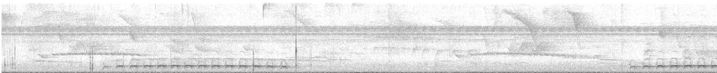 Пестрохвостый трогон - ML616771924
