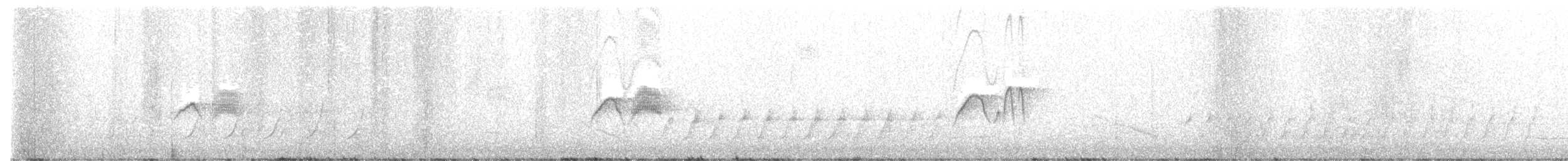 Светлобрюхий фиби - ML616772816