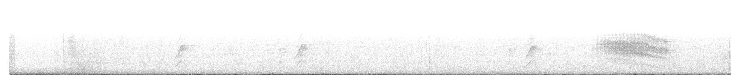 Strichelbaumspäher - ML616773657