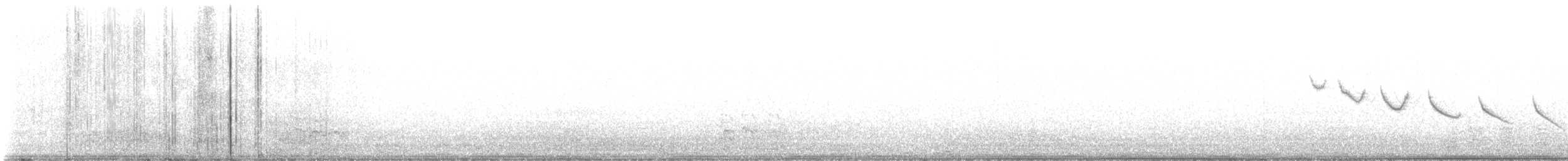 Каньонный крапивник - ML616774269