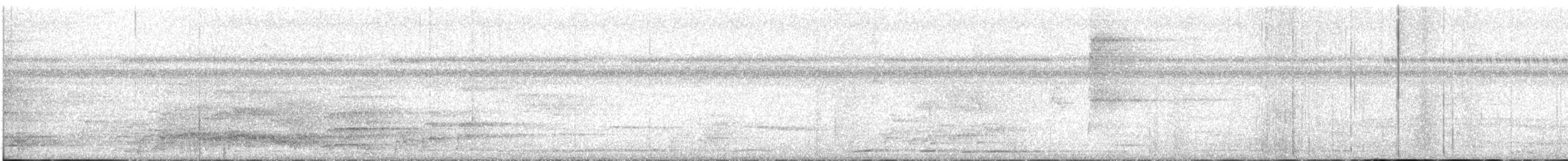 amazon sp. - ML616778789