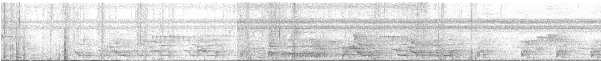 amazon sp. - ML616778898