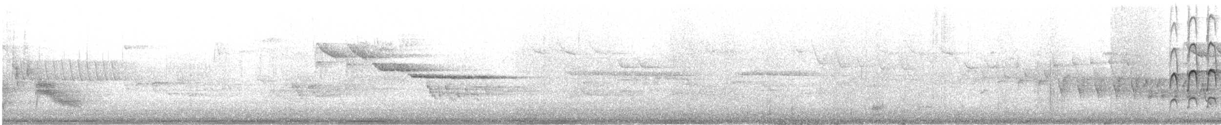 Lesser Spotted Woodpecker - ML616779422