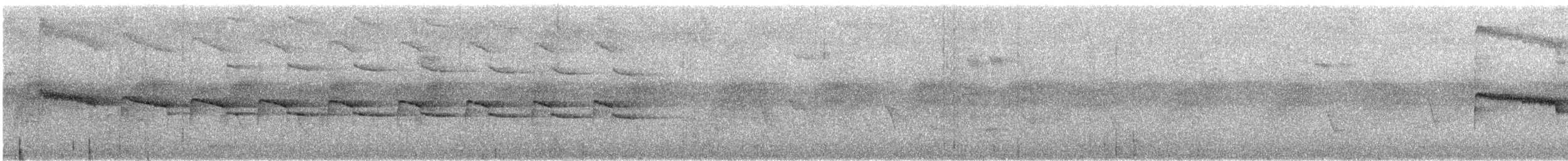 Long-tailed Broadbill - ML616779574