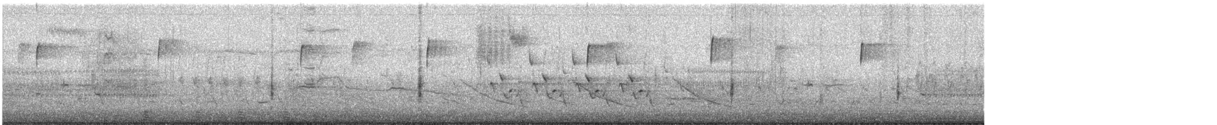 שחרורית אדומת-כנף - ML616780184