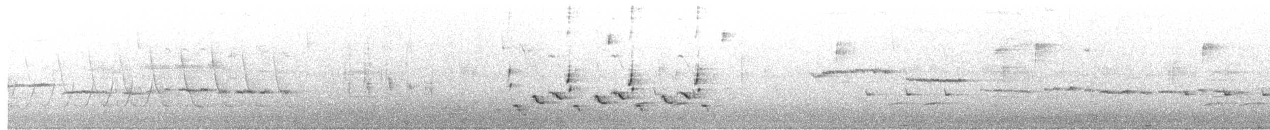 גיבתונית לבנת-גרון - ML616780624