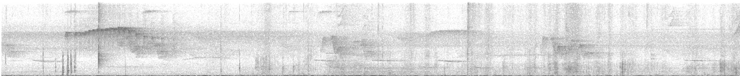 Northern Plain-Xenops - ML616780778