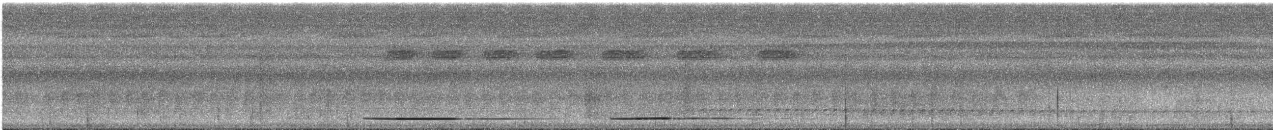 White-throated Tinamou - ML616785349