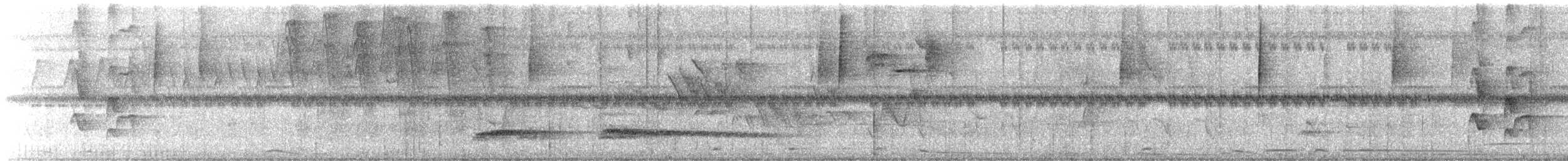 Tinamou à petit bec - ML616787363