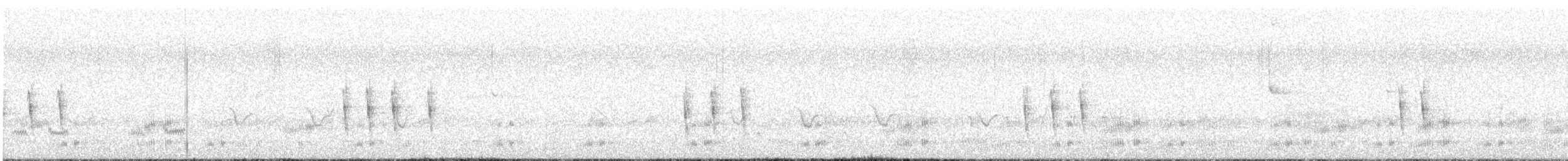Дрізд-короткодзьоб плямистоволий - ML616787492