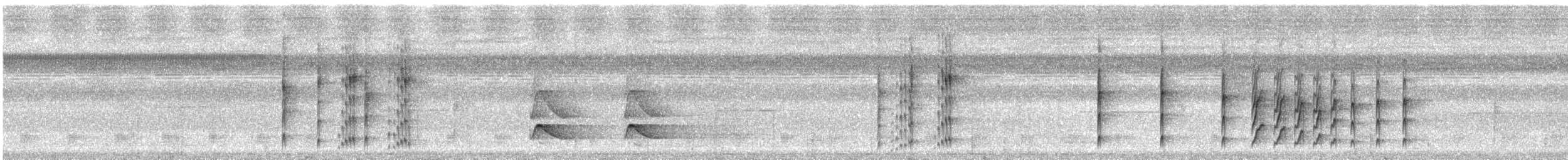 Black-and-white Tody-Flycatcher - ML616788464