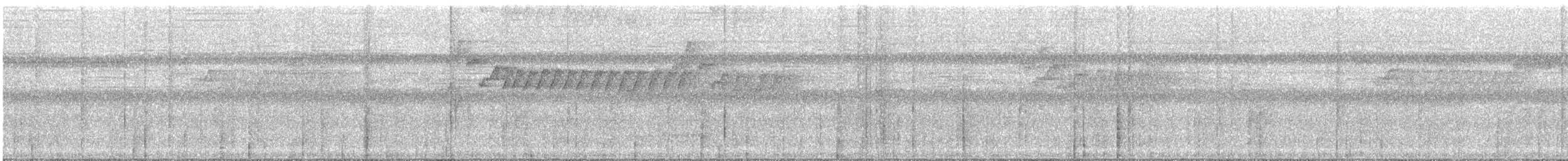 Прямоклювый колибри-отшельник - ML616789453