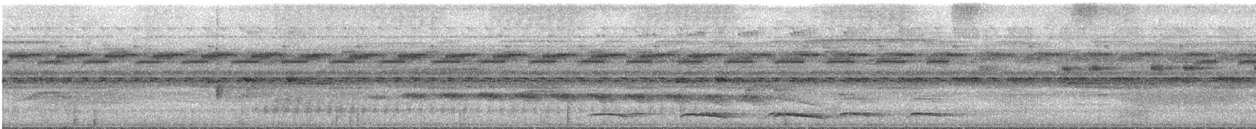 Trogon aurore - ML616789816