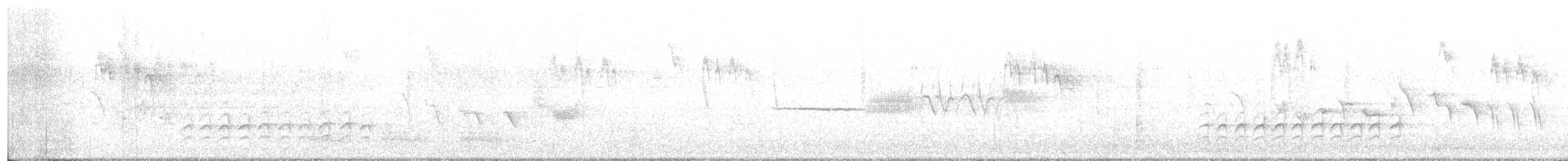 Weißbrustkleiber - ML616791590