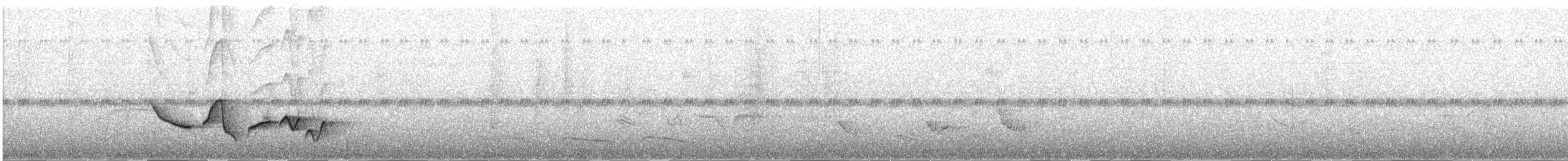 Troglodyte de Sclater - ML616791830