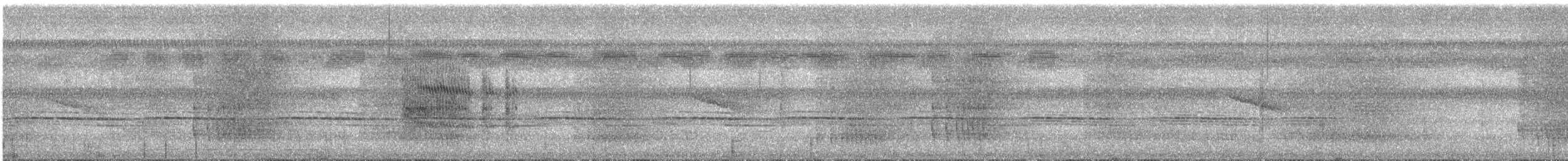 Weißgesicht-Ameisenvogel - ML616791882