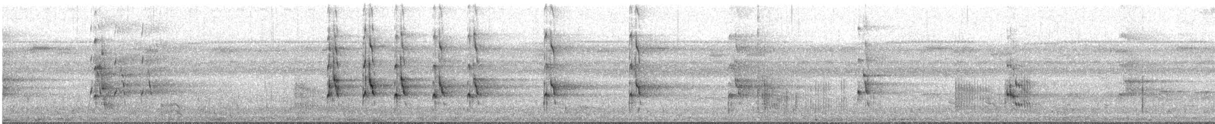 Araçari multibande - ML616792192