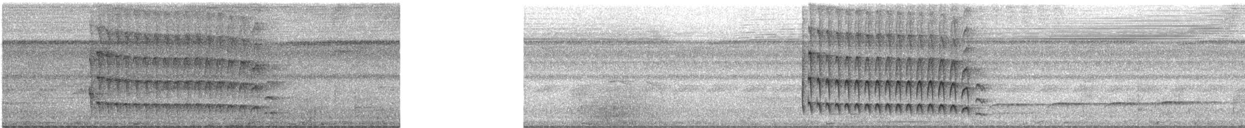 Тиран-інка буроголовий - ML616792290