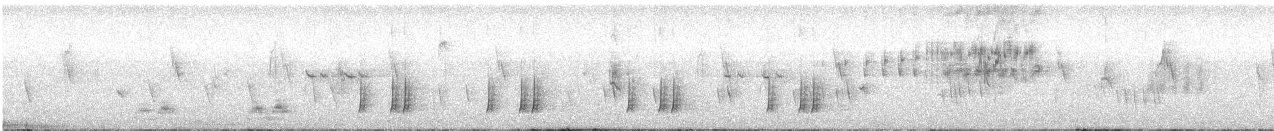 Эгэл бөднө - ML616795050