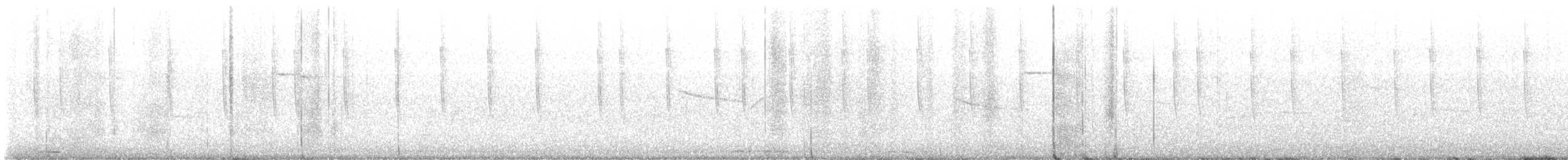 Широкохвостый колибри - ML616796914