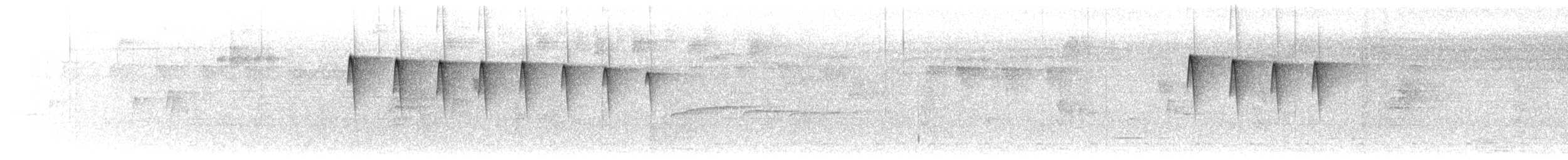 Tropfenkehl-Ameisenschlüpfer - ML616797856