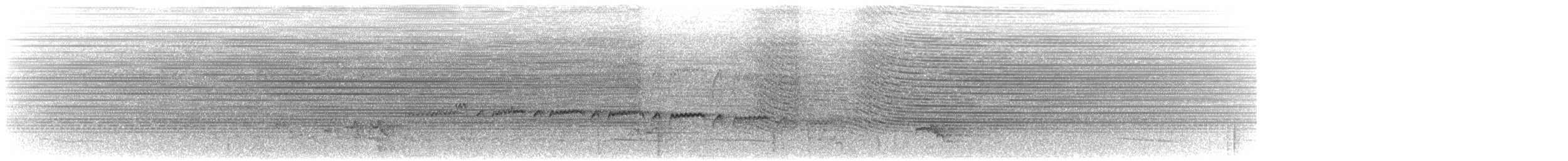 Мурав’янка-куцохвіст плямиста - ML616798030