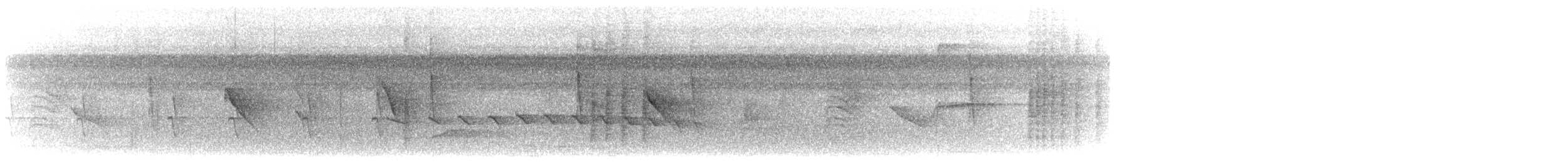 Kurzschwanz-Ameisenschlüpfer (ignota) - ML616800816