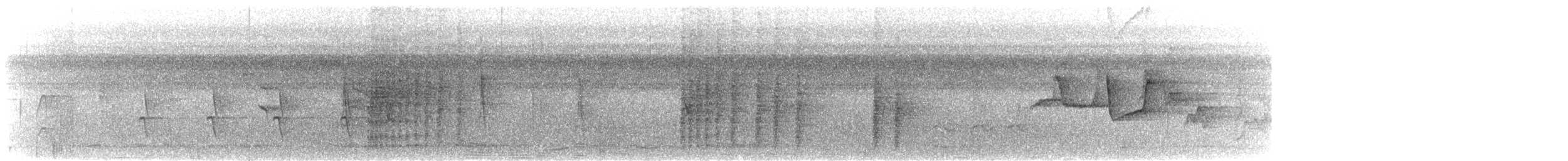 Поплітник білогорлий - ML616801210