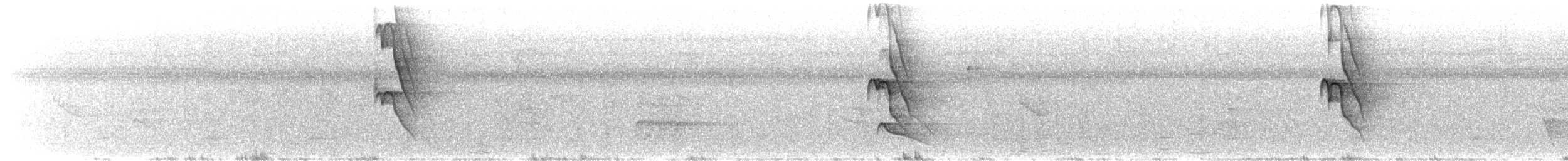 Красношапочный бентеви [группа similis] - ML616801635
