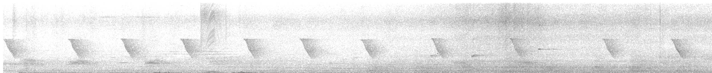 langhaleskredderfugl - ML616802124