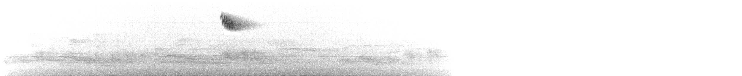 drozd bledý - ML616802447