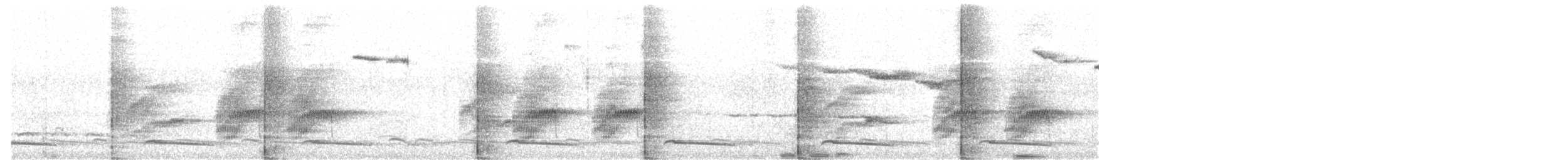 Slaty-headed Parakeet - ML616807598