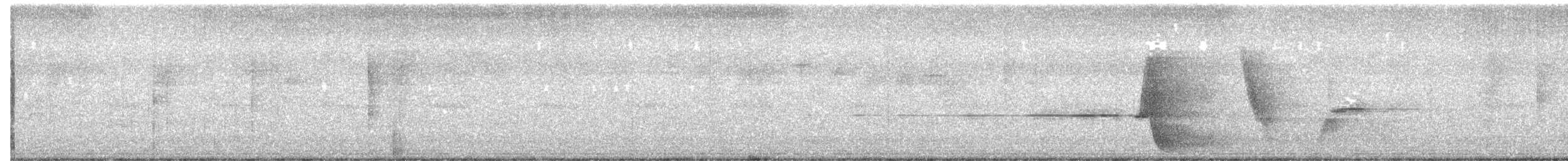 Kara Göğüslü Kamçıkuşu - ML616807606