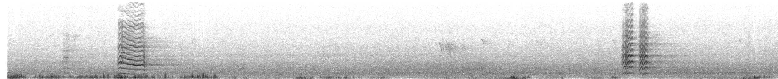 kakadu ostrozobý - ML616808149