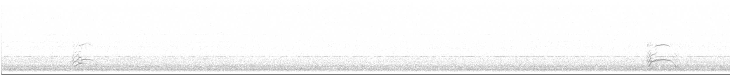 ub. måke (Larinae sp.) - ML616809040