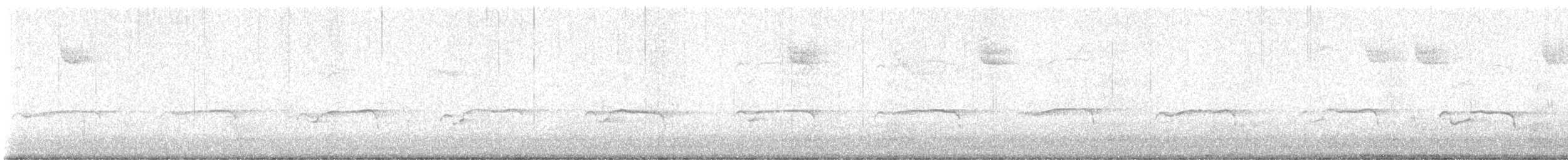 Fischadler (carolinensis) - ML616809750