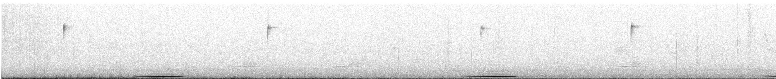 Çizgili Bıldırcın Kumrusu - ML616810618