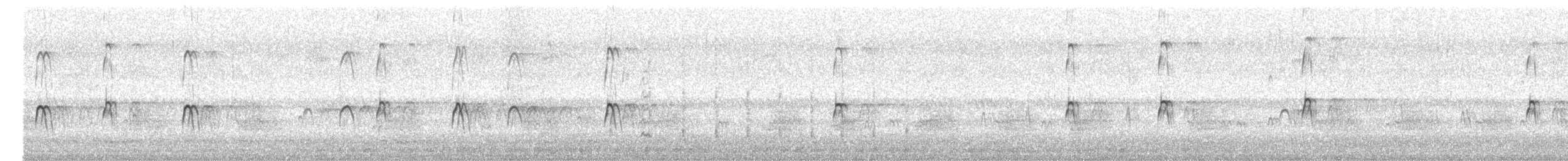 Zankaluze arrunta - ML616811819