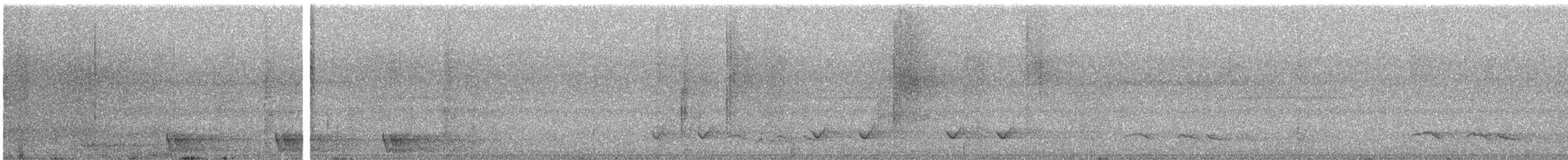 Large-tailed Nightjar - ML616813524