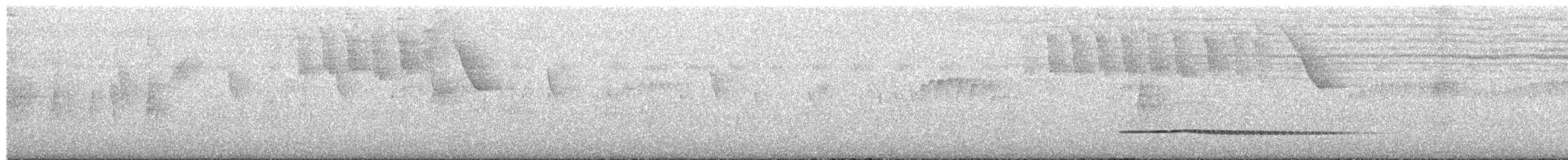 Малый скрытохвост - ML616815619