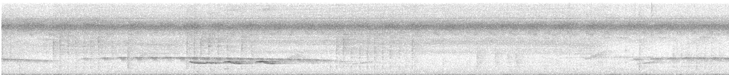 Weißschulter-Ameisenvogel - ML616816006