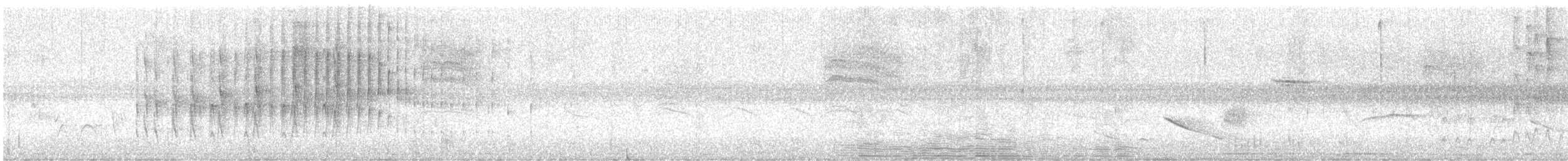 Strichelbrust-Dickichtschlüpfer - ML616816901