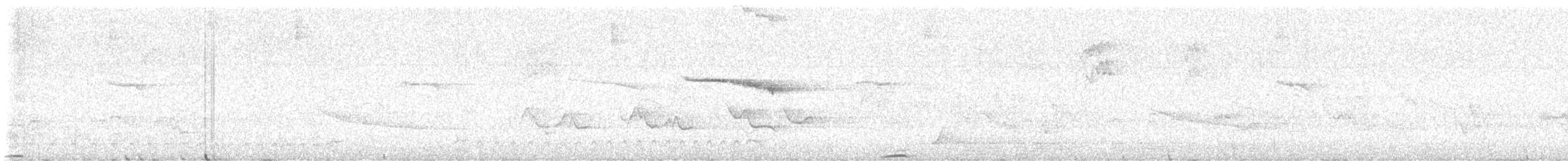 Motmot caraïbe (argenticinctus) - ML616817686