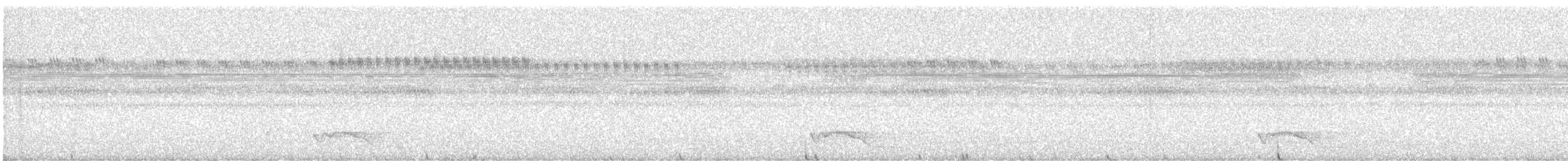 Ecuadornachtschwalbe - ML616817910