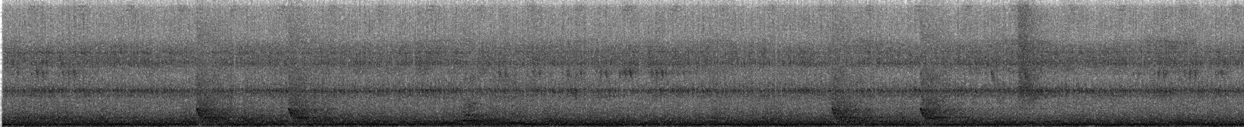 Large-tailed Nightjar - ML616818822
