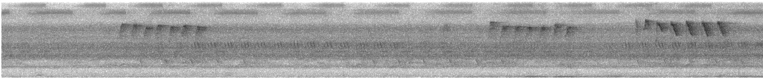 Turuncu Karınlı Öksekuşu - ML616819181