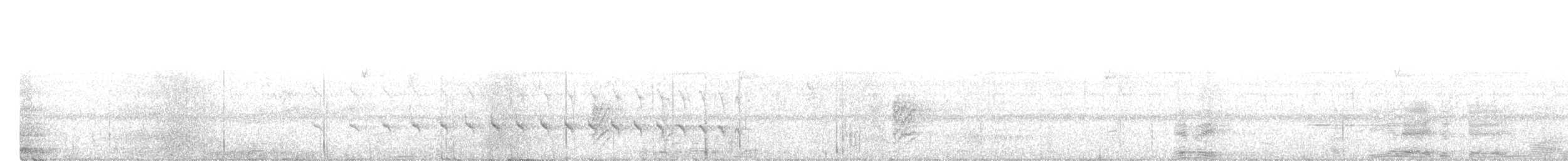 Kurzschwanz-Ameisenschlüpfer - ML616819182