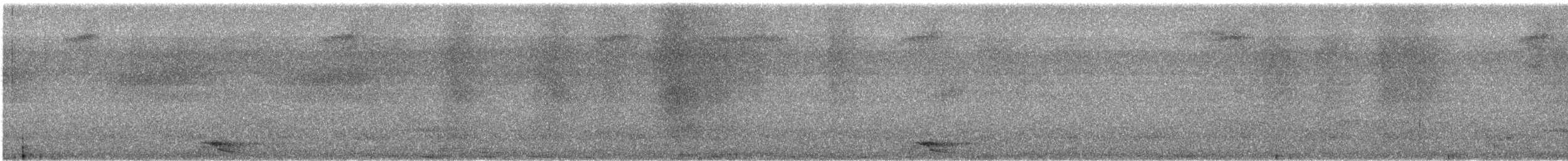 Белокрылая питта - ML616819391